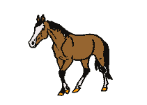 cheval 13