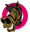 cheval 17