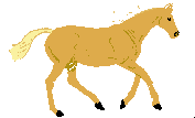 cheval 21