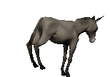 cheval 27