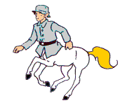 cheval 29