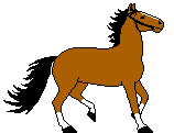 cheval 35