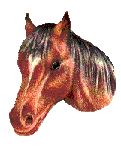 cheval 38