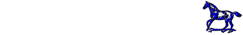 cheval 42