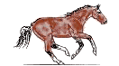 cheval 48