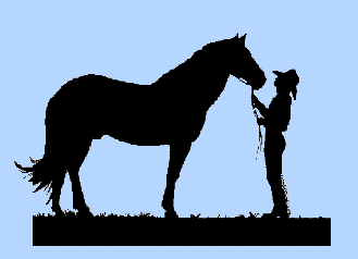 cheval 51