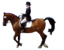 cheval 53