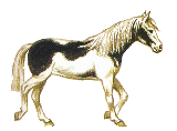 cheval 58