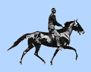 cheval 63