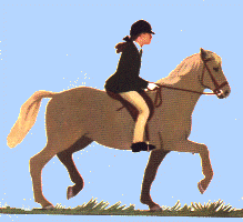 cheval 64