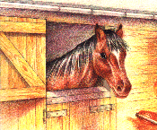 cheval 75