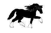 cheval 77