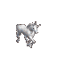 cheval 79