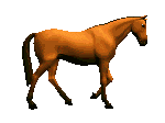 cheval 83