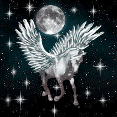 cheval 90