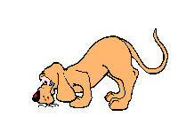 chien 17