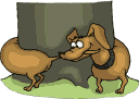 chien 18