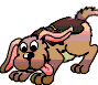 chien 21