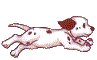 chien 22