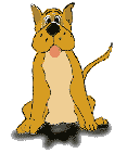 chien 23