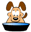chien 24