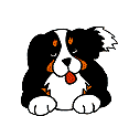 chien 25