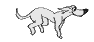 chien 28