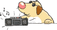 chien 30