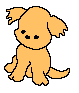 chien 72