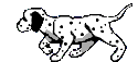 chien 73