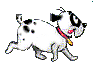 chien 75