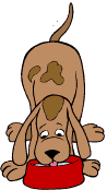 chien 78