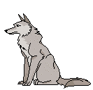 chien 80