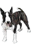 chien 86