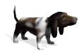 chien 87