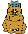 chien 91