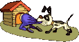 chien 96