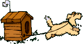 chien 154
