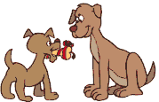 chien 158