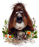 chien 159