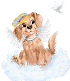 chien 177