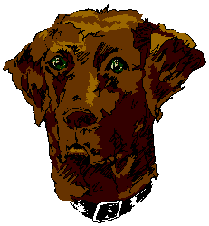 chien 180