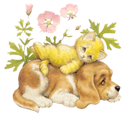chien 185