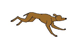 chien 190