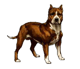 chien 191