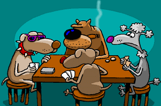 chien 200