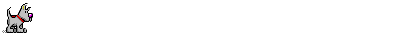 chien 205