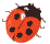 coccinelle 03