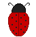 coccinelle 04
