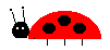 coccinelle 09